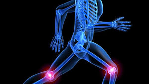 5 conseils pour prévenir la douleur au genou
